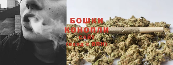 прущие крисы Гусь-Хрустальный