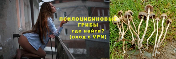 мет Гусиноозёрск