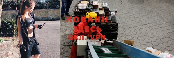 мет Гусев