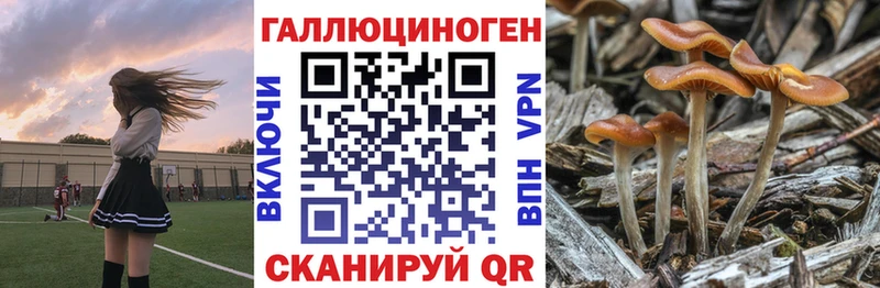 хочу   Мценск  mega ONION  Галлюциногенные грибы Cubensis 