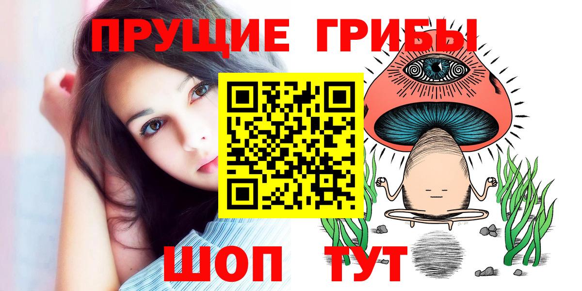 Галлюциногенные грибы Psilocybine cubensis  наркота  Мценск  Вход с VPN 