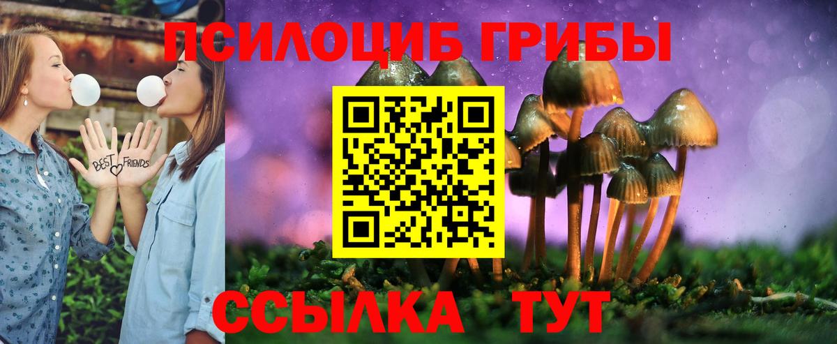 Галлюциногенные грибы MAGIC MUSHROOMS Мценск